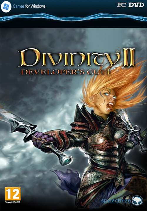 Divinity II Developers Cut - COGENT
